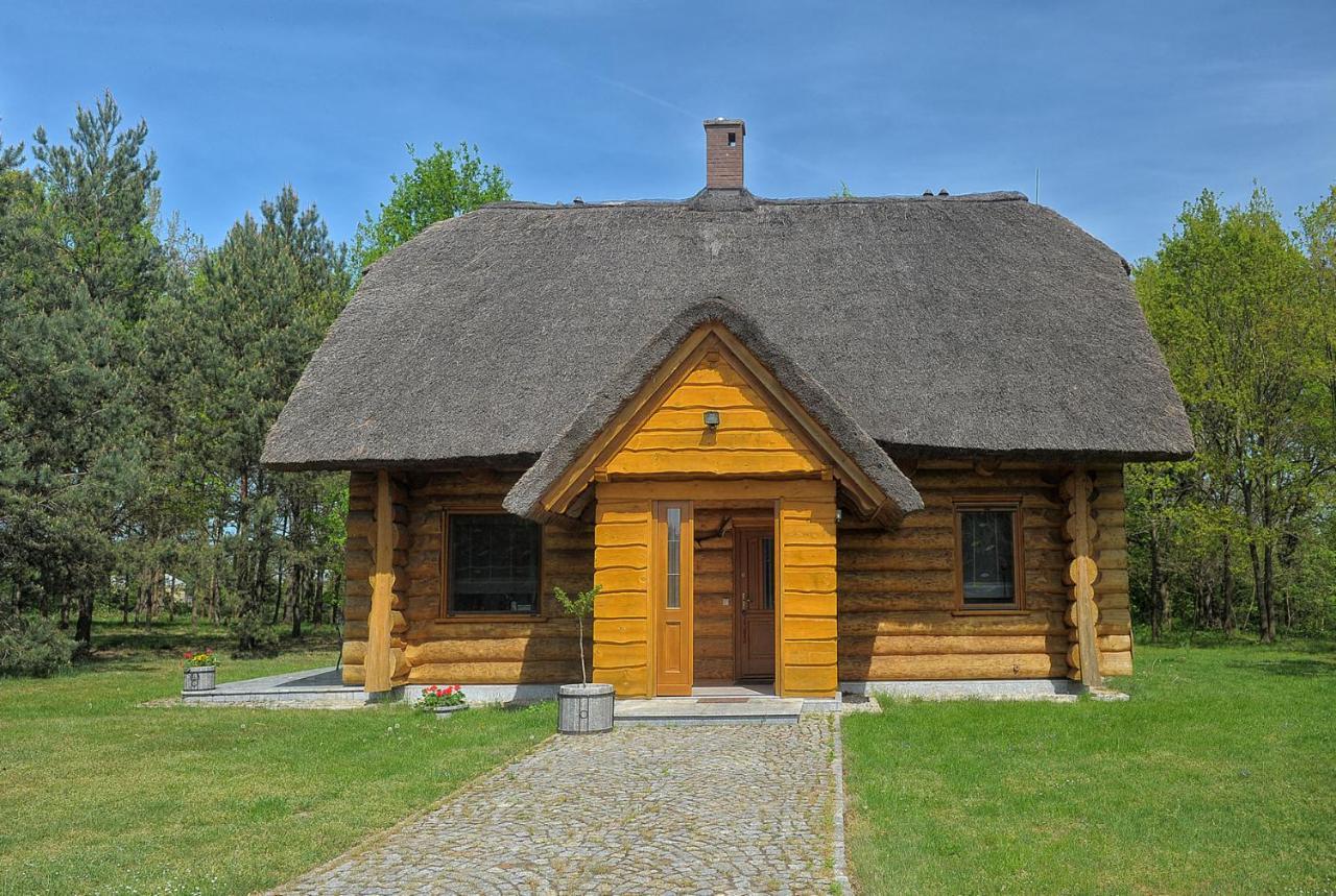 Dom Pod Sosnami Gryżyna Exterior foto